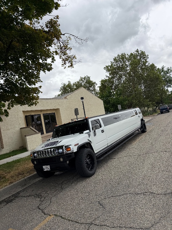 GENTLEMAN LIMOUSINES LLC photo 2