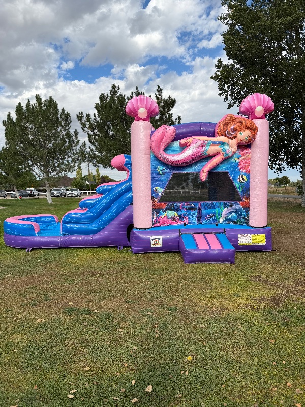 MvRidez Party Rentals photo 4