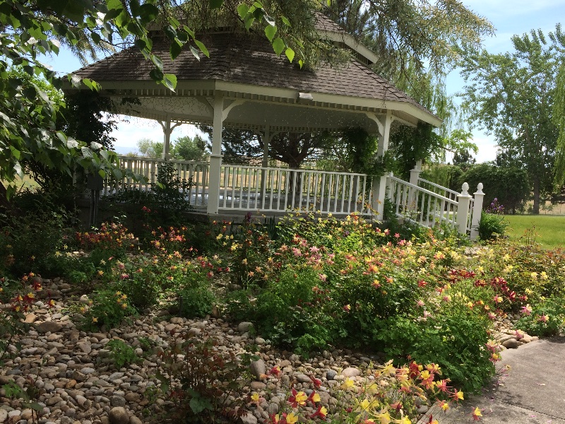 Wild Rose Manor photo 5