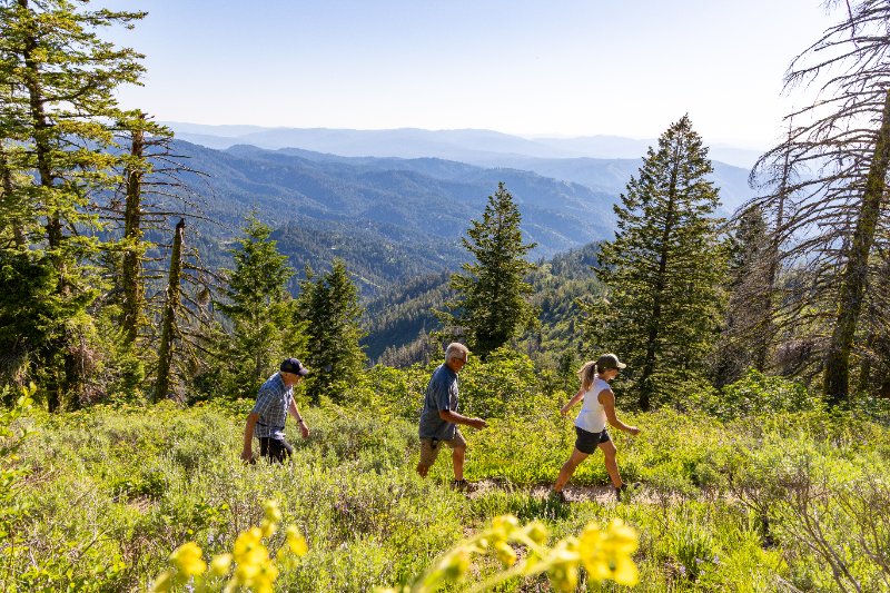 Bogus Basin photo 2
