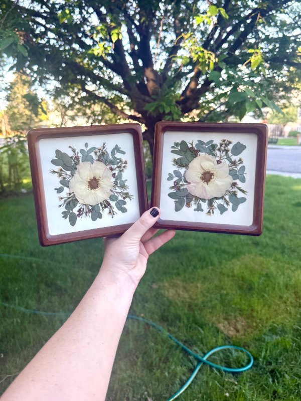 Idaho Pressed Flowers photo 4