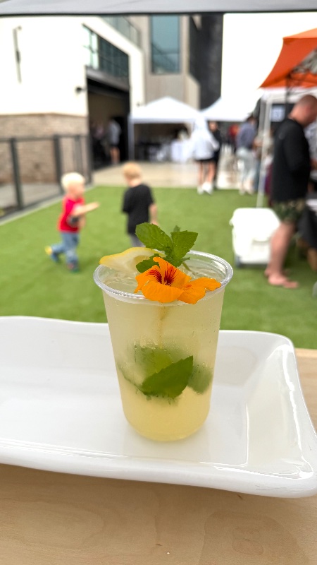 Velvet Lime Mocktails photo 4