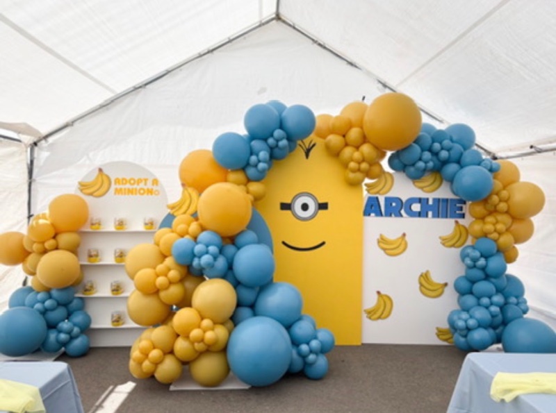 The Balloon Home photo 3
