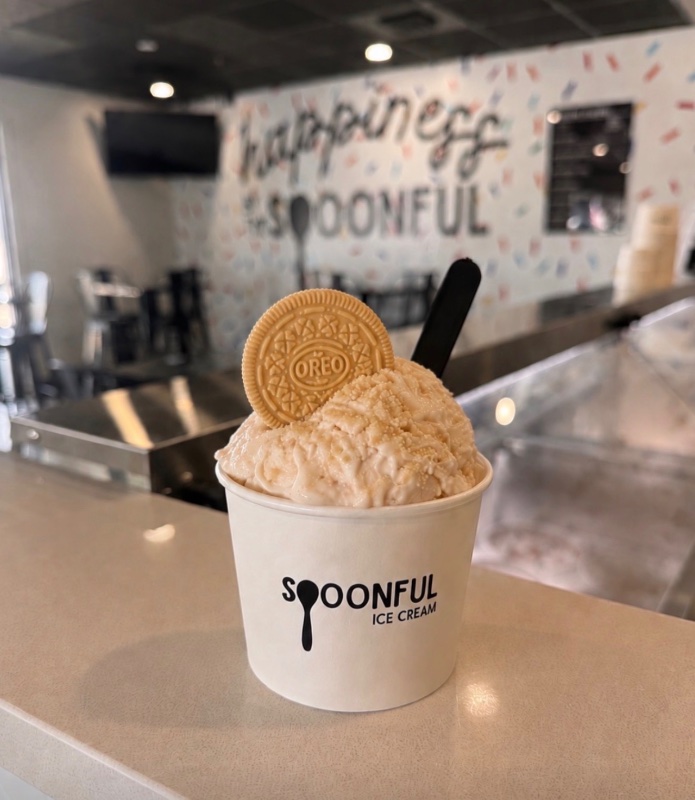 Spoonful Ice Cream photo 5