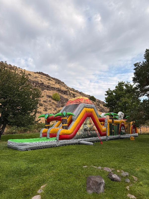MvRidez Party Rentals photo 3