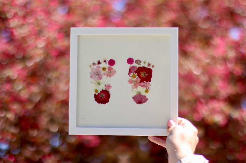 Pressed Floral By Hailey photo 3
