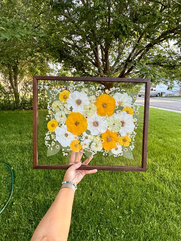 Idaho Pressed Flowers photo 2