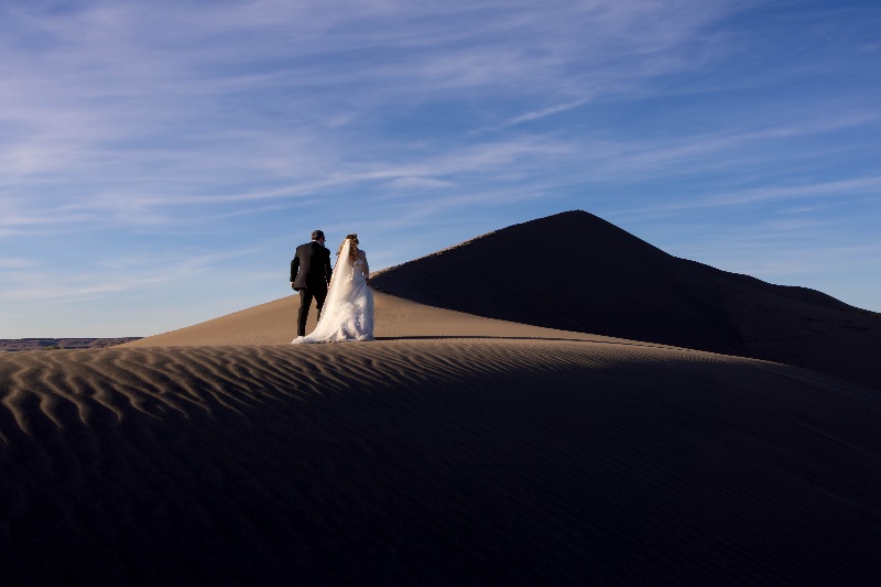 Vital Moments Photography photo 5
