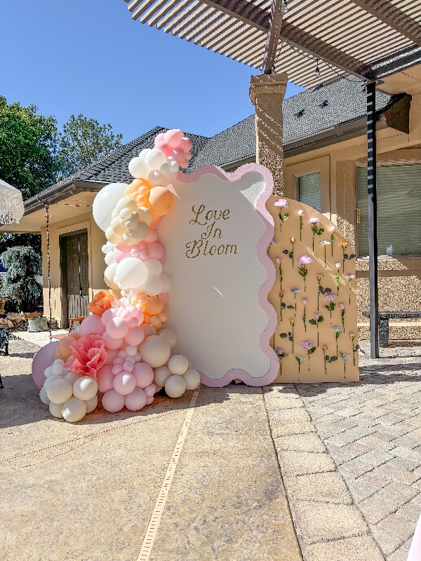 The Balloon Home photo 2
