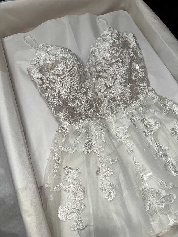 Idaho Gown Preservation photo 3