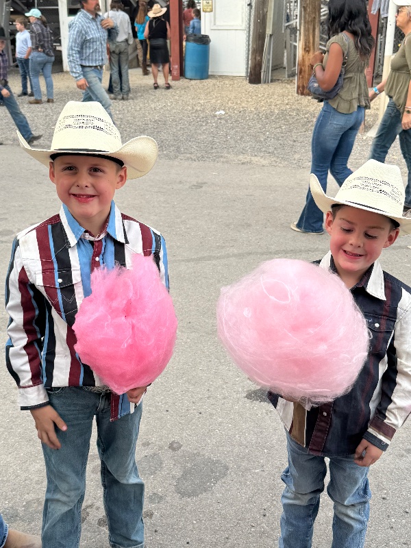 Sugar Puff Cotton Candy photo 2