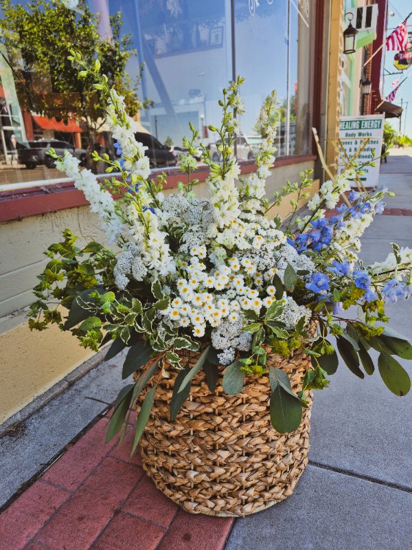 Alma's Petals photo 4